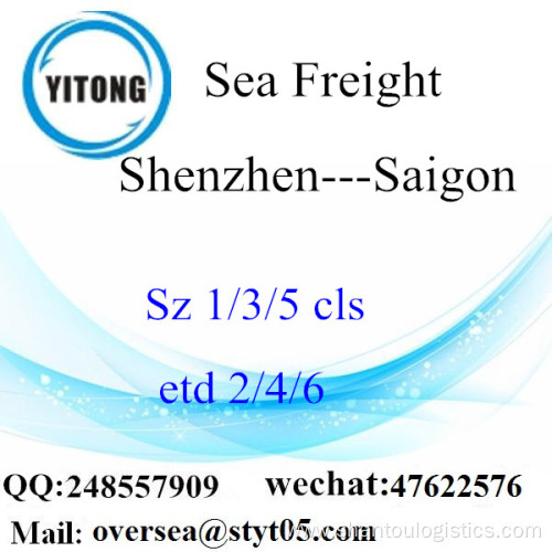 Shenzhen Port LCL Consolidation To Saigon